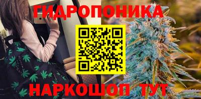 спиды Бийск