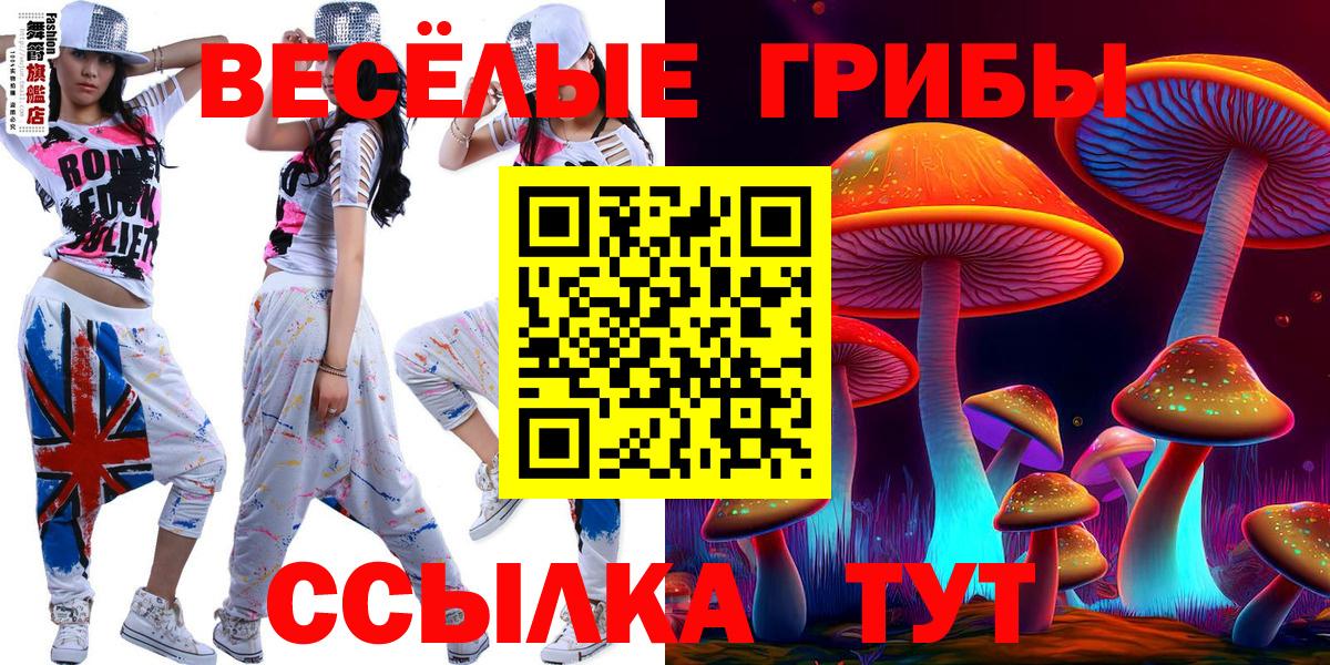 Псилоцибиновые грибы GOLDEN TEACHER Ирбит