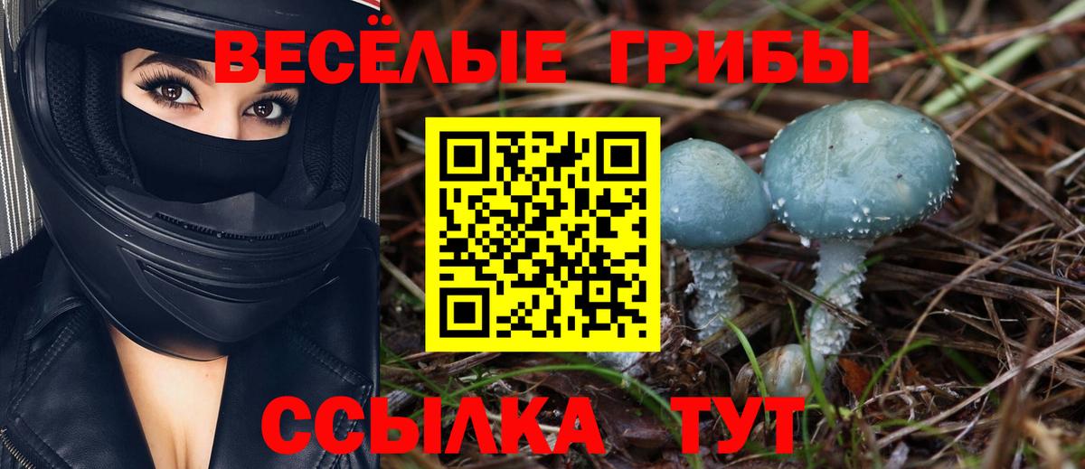 Ирбит  Галлюциногенные грибы GOLDEN TEACHER  Вход с VPN  Псилоцибиновые грибы Psilocybine cubensis 